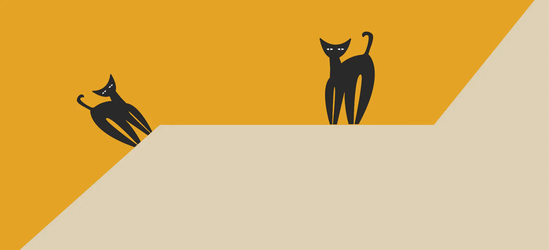 How to help your cat with anxiety