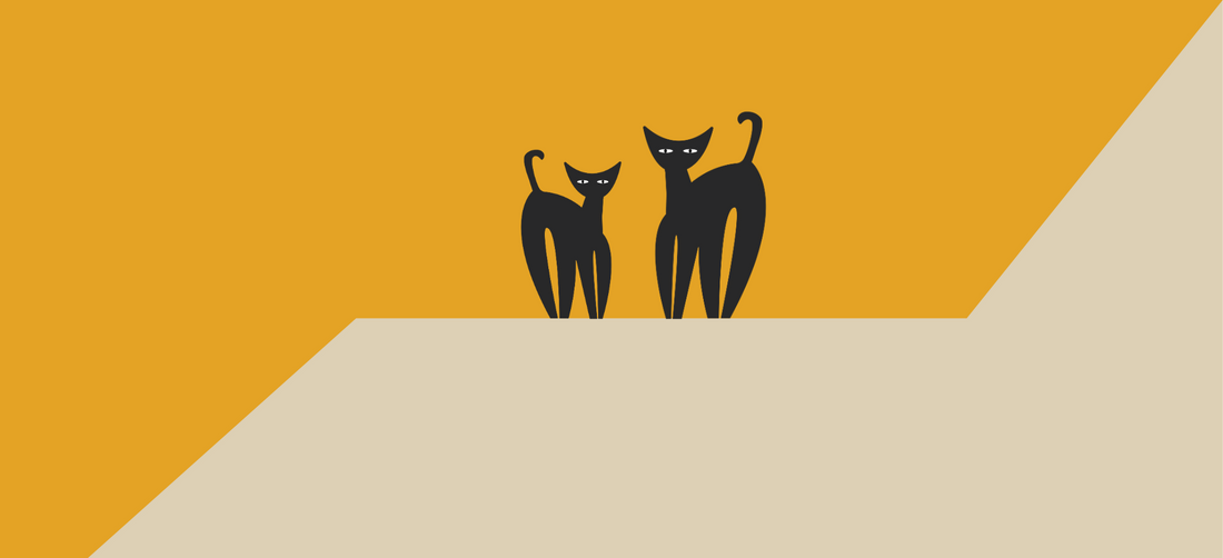 What are the best cat supplements?