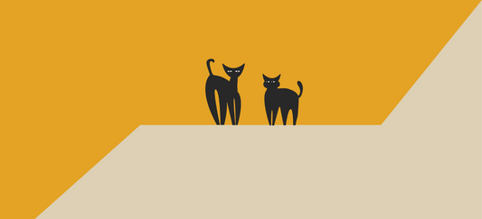 Cat won’t eat wet food anymore? Causes & easy fixes