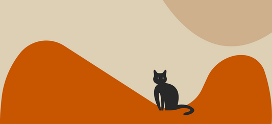 Indoor vs outdoor cat food: choosing the right formula