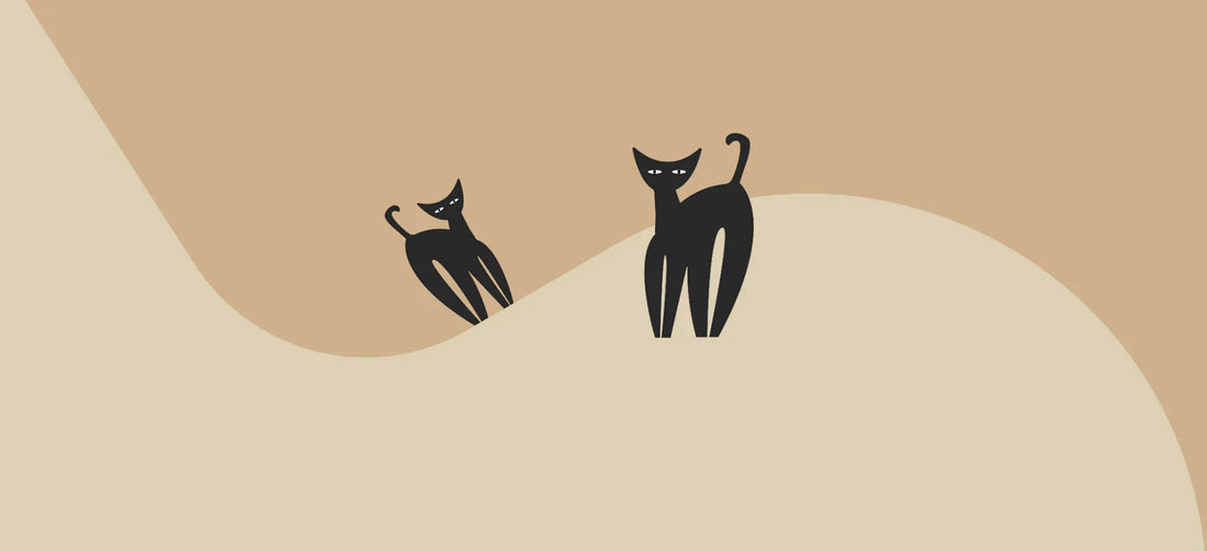 Can cats have mushrooms?