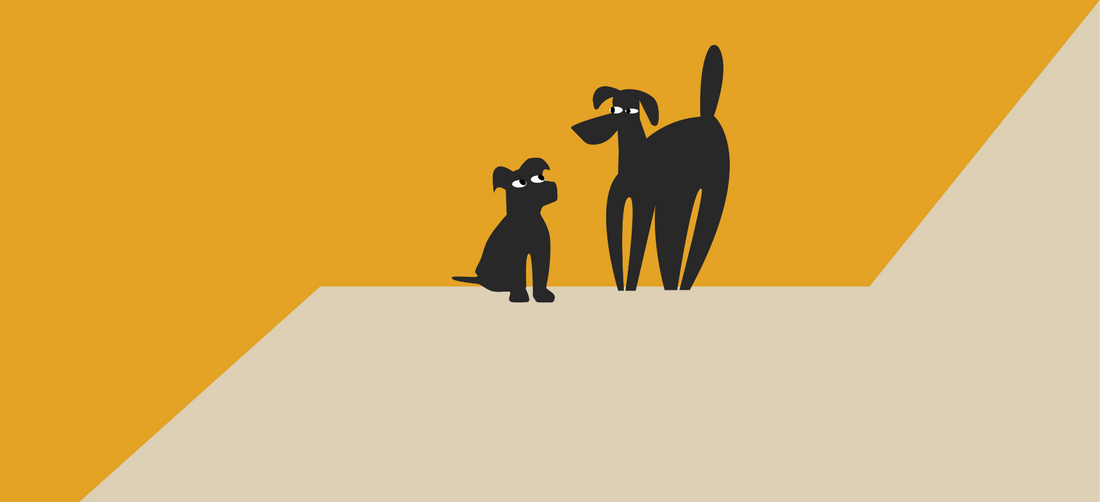 Puppy shedding explained: What to expect & when