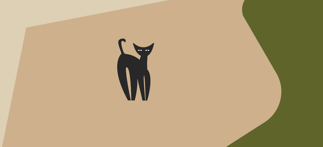 Top six superfoods for cats and their health benefits