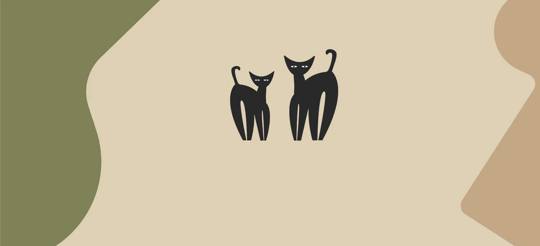 Cat diabetes: Symptoms and nutrition