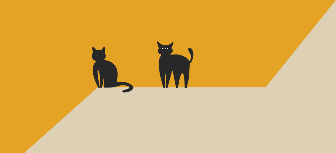 Which human foods cats can eat?