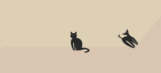 Are cold ears a sign my cat is sick? Here’s how to tell