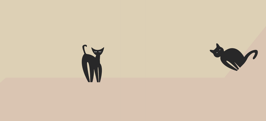 Are cold ears a sign my cat is sick? Here’s how to tell