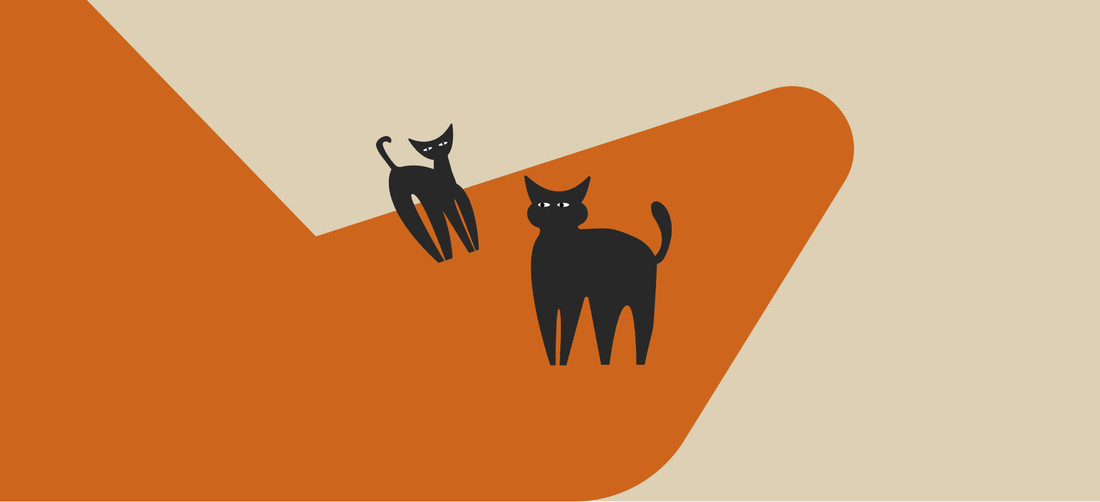 Cat doesn't chew food