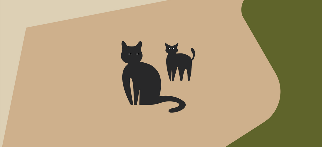 How much food should I feed my cat?