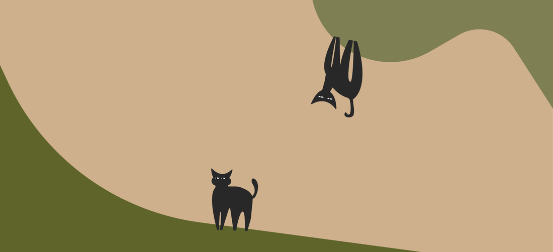 Can cats have chia seeds?