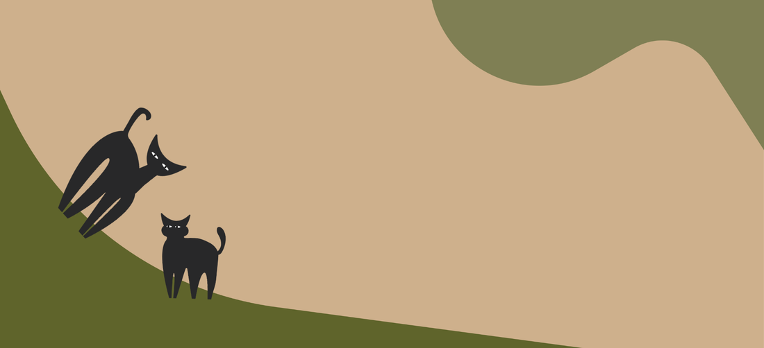 Can cats have chia seeds?