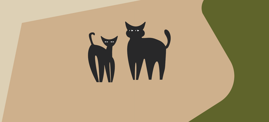 What ingredients to avoid in cat food