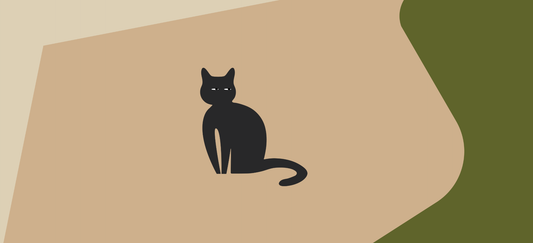 Turkey tail for cats: benefits, safety and dosage