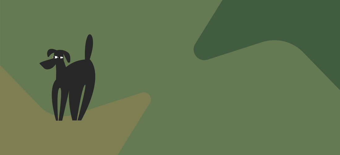 Top dog foods for IBS and digestive health