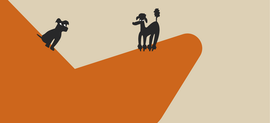 Why does my dog flip his food bowl? Unpacking this quirky behavior