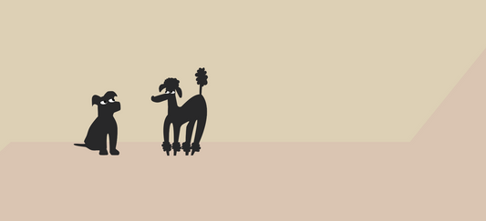 How to prevent your dog from eating cat food: effective strategies