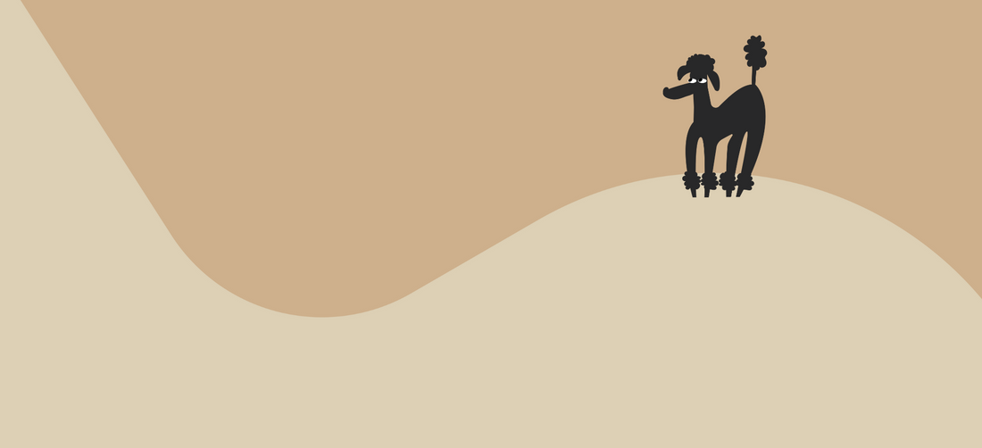 Should you soften your dog’s food? Here’s how and why