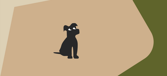 Does dog food really help with shedding? Let’s find out