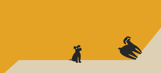 What to do if your dog gets anxious at night
