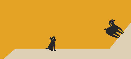 Can Dogs Eat Shiitake Mushrooms Safely?