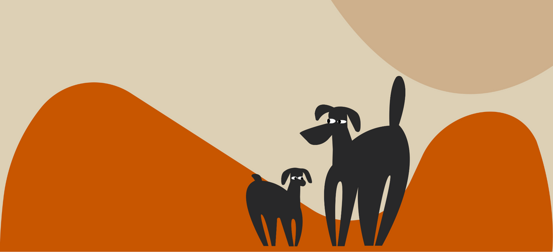 Top 5 dog shedding supplements