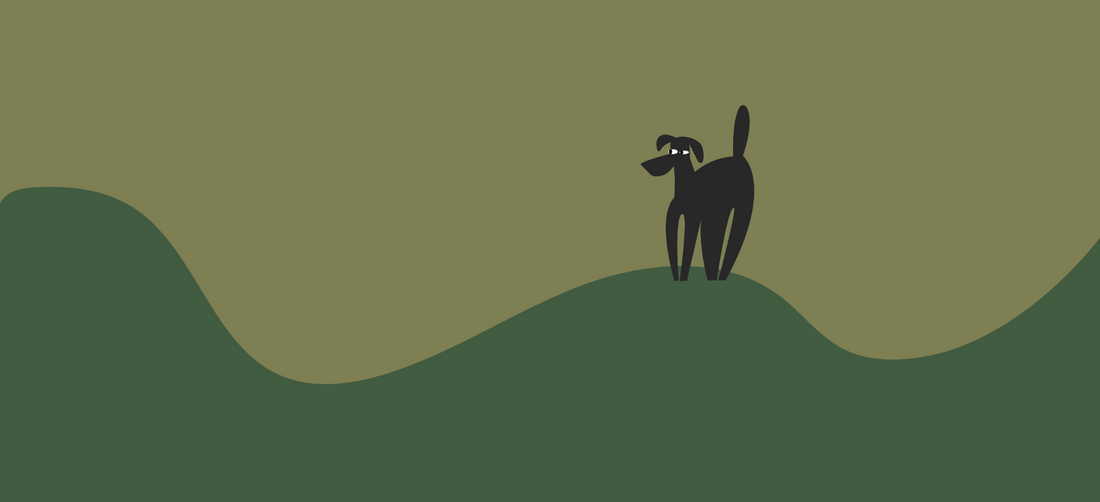 Best Anti-Yeast Dog Foods for Itchy Skin