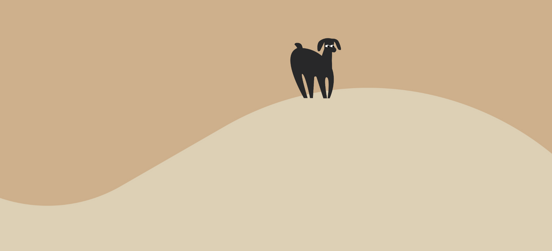 Why is my puppy breathing fast? What’s normal & what’s not