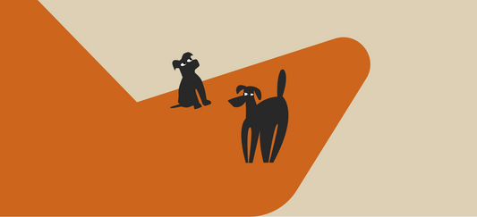 Best dog food for pancreatitis: what vets recommend