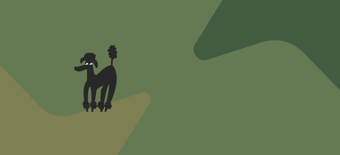 The best dog food for sensitive stomachs: gentle choices for happy pups