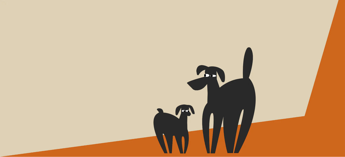 Can dogs eat mushrooms?