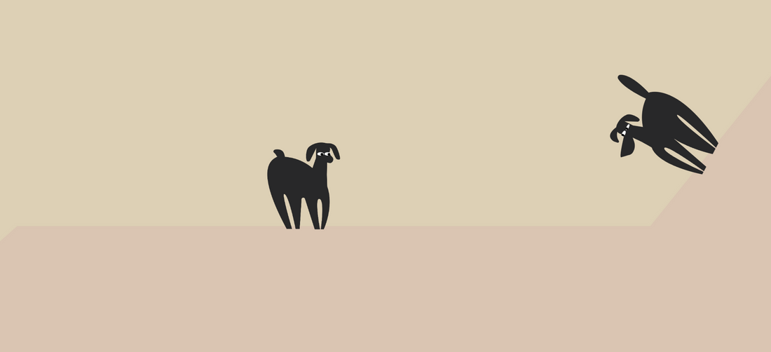 Lavender oil for dogs: benefits, risks & safe use guide