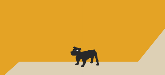 How to get your puppy to stop biting