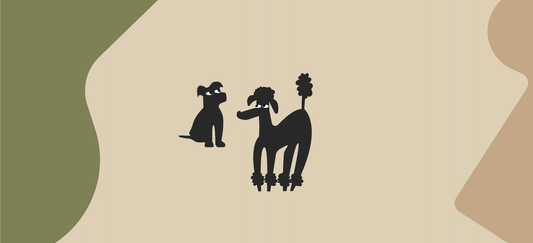 Five signs your dog trusts you