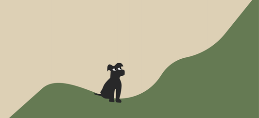 Why are dogs so food motivated