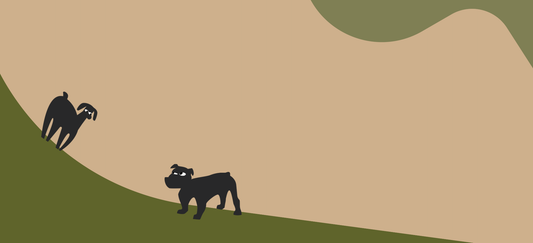 Dog food for sensitive skin