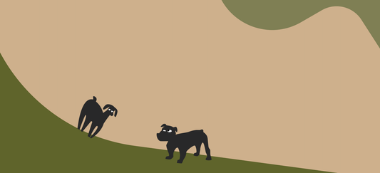 Dog food for sensitive skin