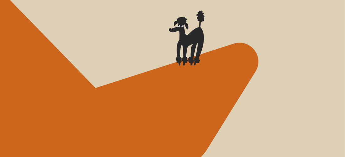 Choline chloride in dog food