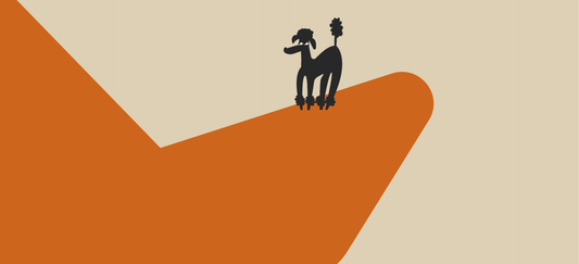 Choline chloride in dog food