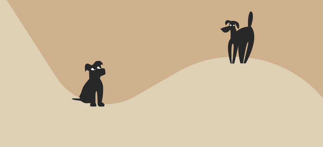 Is cordyceps safe for dogs?