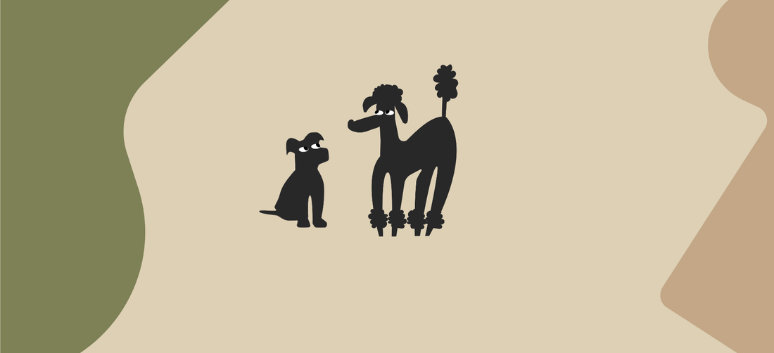 Can dogs have chia seeds?