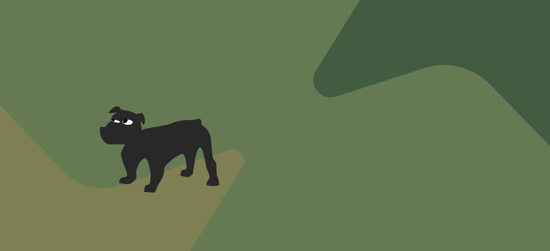 Symptoms of poor gut health in dogs