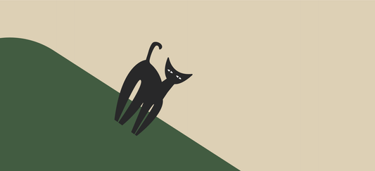 Gut health for cats: how to improve feline digestion