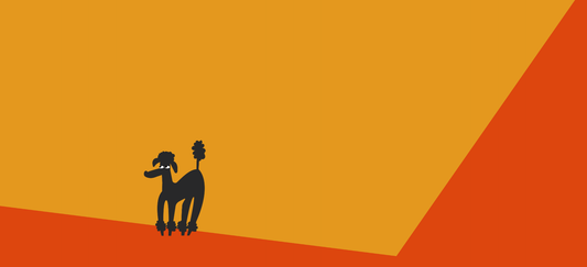 How to improve dog gut health naturally