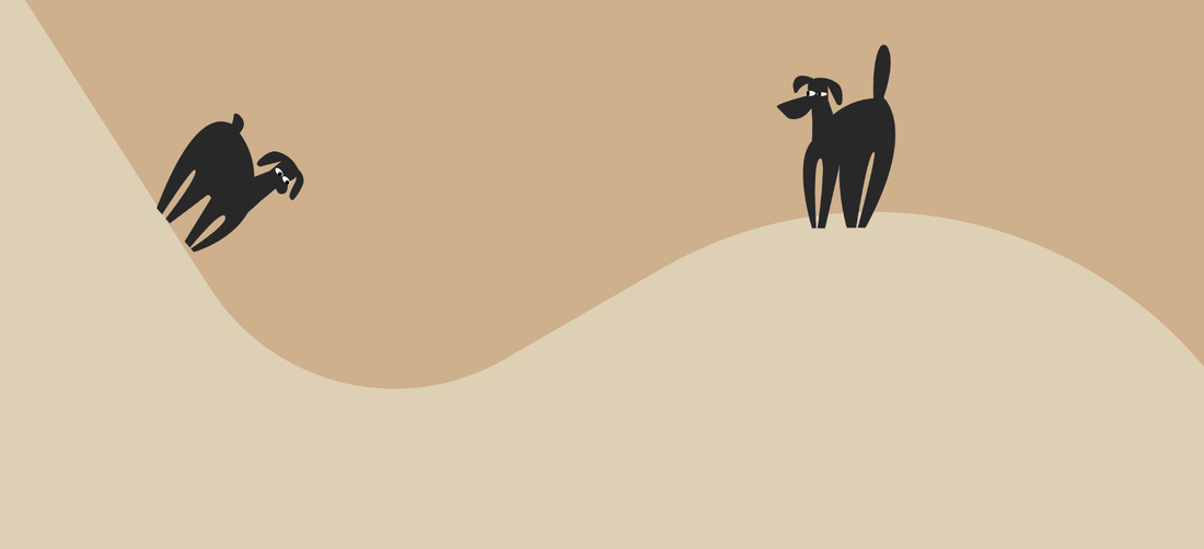 Healthy sources of fibre for dogs