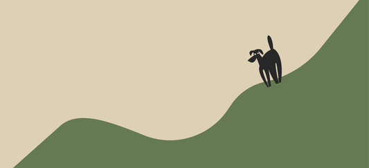 Natural remedies for dog anxiety