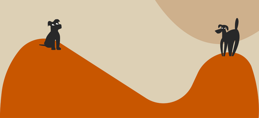 Can dogs eat artichoke?