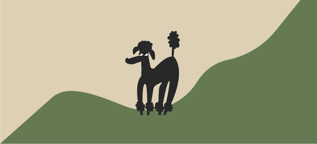 Which plants are best for dog immunity?