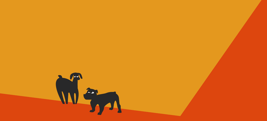 Fish-free omega for dogs: plant-based options without the fishy oil
