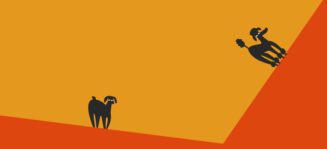 Beta glucan for dogs: key benefits explained