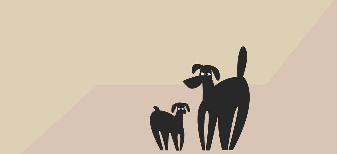 What are the best dog supplements?